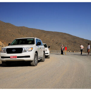 Mountain Safari Trekking Adventure – Full Day