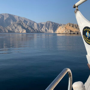 Dhow Cruise – Full Day