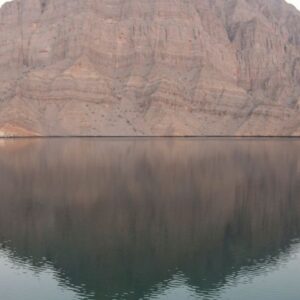 Dhow Cruise – Half Day