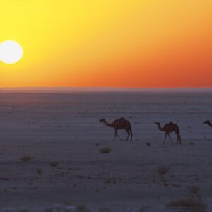 FOUR NIGHT/ FIVE DAYS PACKAGE MUSCAT – TREASURES OF OMAN