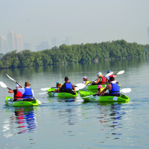 Mangrove Kayaking Abu Dhabi