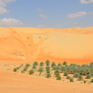 Liwa Oasis Desert Safari Abu Dhabi