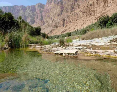 wadi sahab sur