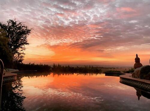 100048156 3042156289196755 3316770189185384448 n