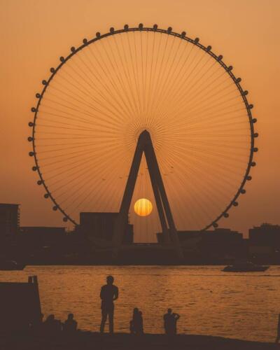 223072297 131830099100064 6817726640059284193 n