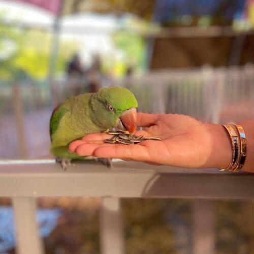 239515829 2907457996237376 3092621342904455811 n