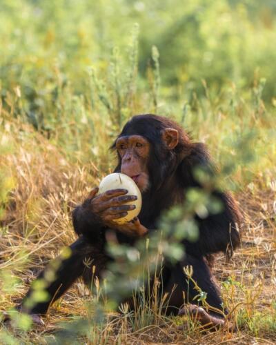 244545568 2946452835671225 2559979922961805737 n