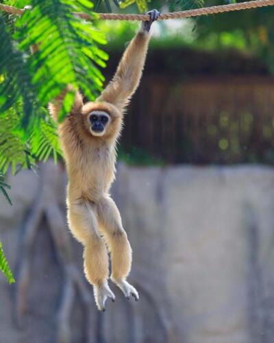 258066371 2976044746045367 8056146145411498725 n