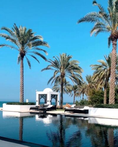 292721943 407455661416321 573182720551015985 n