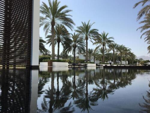 293241950 409536214541599 4889420554444468143 n