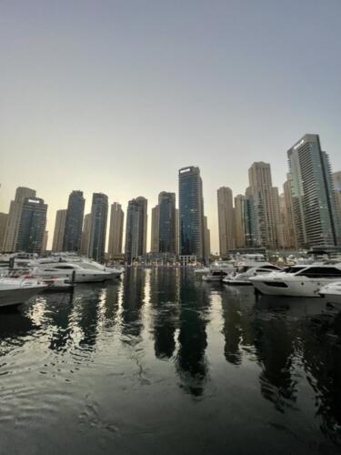 9e44198e-8b8e-435d-7e04-db132cc5c27c.0 1200