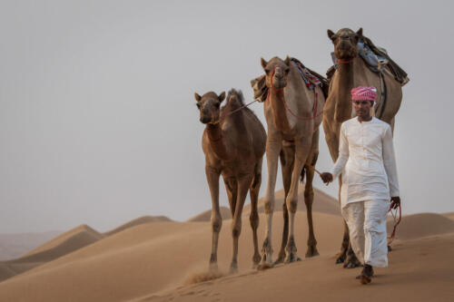Oman, Sharqiya Sands