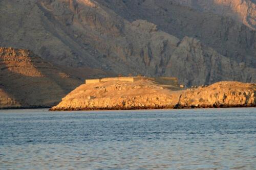 IMG 3206 (1) (1) (1)