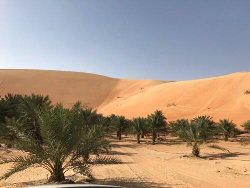 Liwa-Oasis-