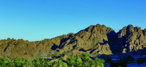 RCALBUS 00074 conversion