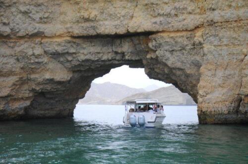 SPT 8650.25095134 large