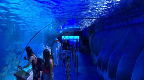 aquarium-in-dubai-mall
