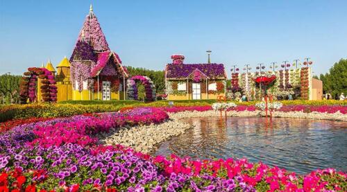 beautiful-miracle-garden-in-dubai-tickets