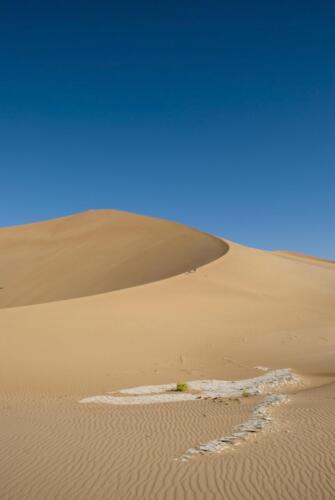 shutterstock 94891630-2