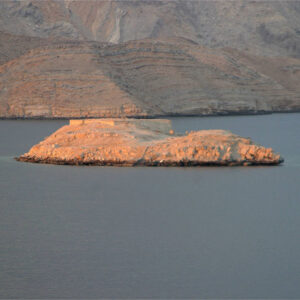 Dhow Cruise – Half Day