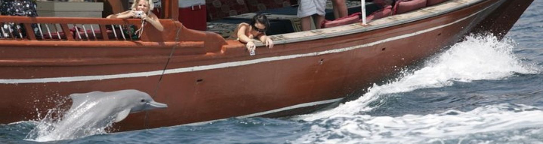 School & University Day Package