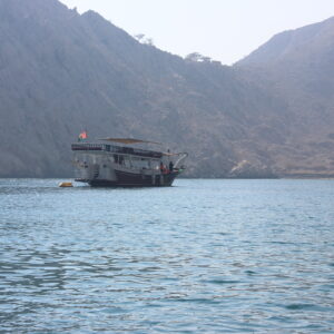 Dibba Day Trip from Fujairah