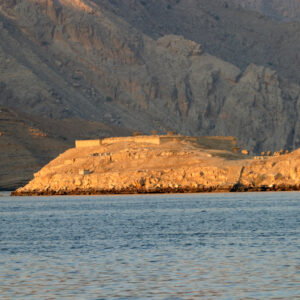 Dhow Cruise – Full Day