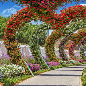 Miracle Garden
