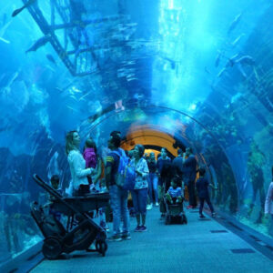 Dubai Aquarium & Underwater Zoo