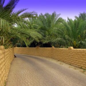Al Ain City Tour