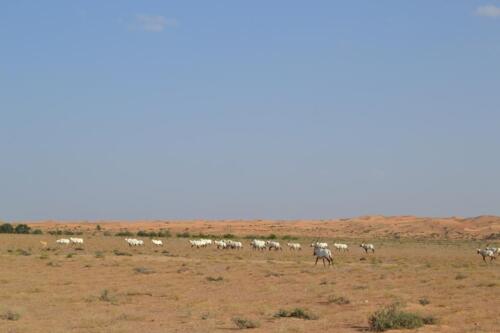 15288455 1238060966272972 875590460050449295 o