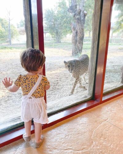 171437685 2817319585251218 8849433436612851777 n