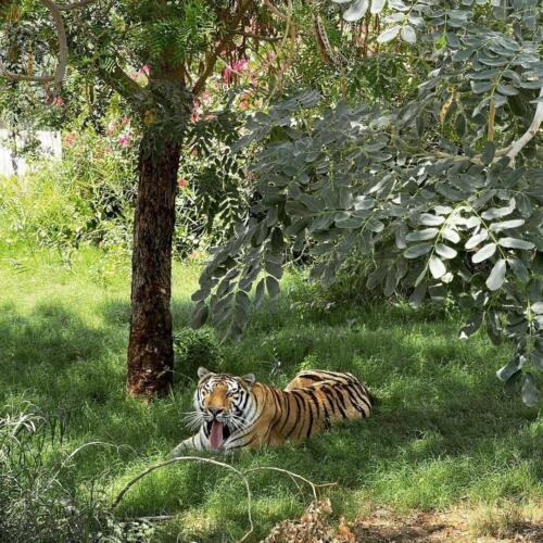 228242938 2898541470462362 1777724464621074618 n