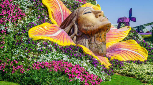 amazing-miracle-garden