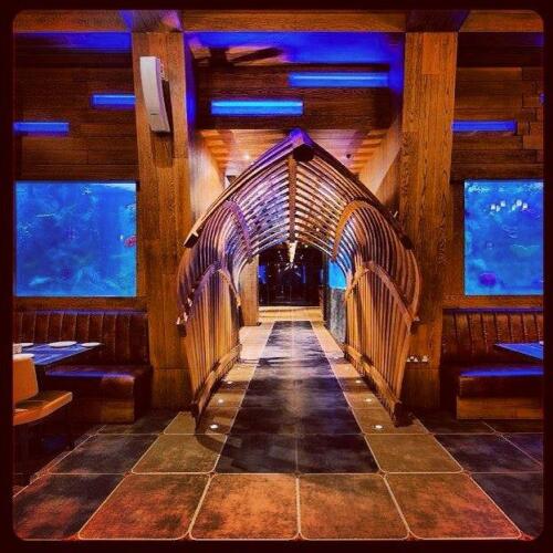 aquarium-seafood-at-yas