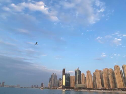 fdda5c21-936e-4d3f-7402-303574e47282.1200 0