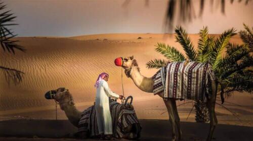 liwa-desert-safari-4