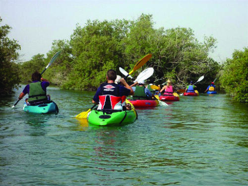 package phot image en3 18