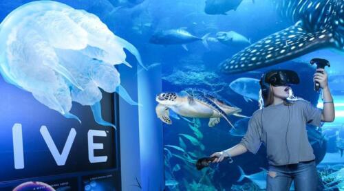 vr-in-dubai-mall-aquarium